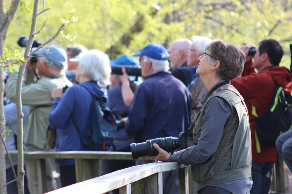 People birdwatching