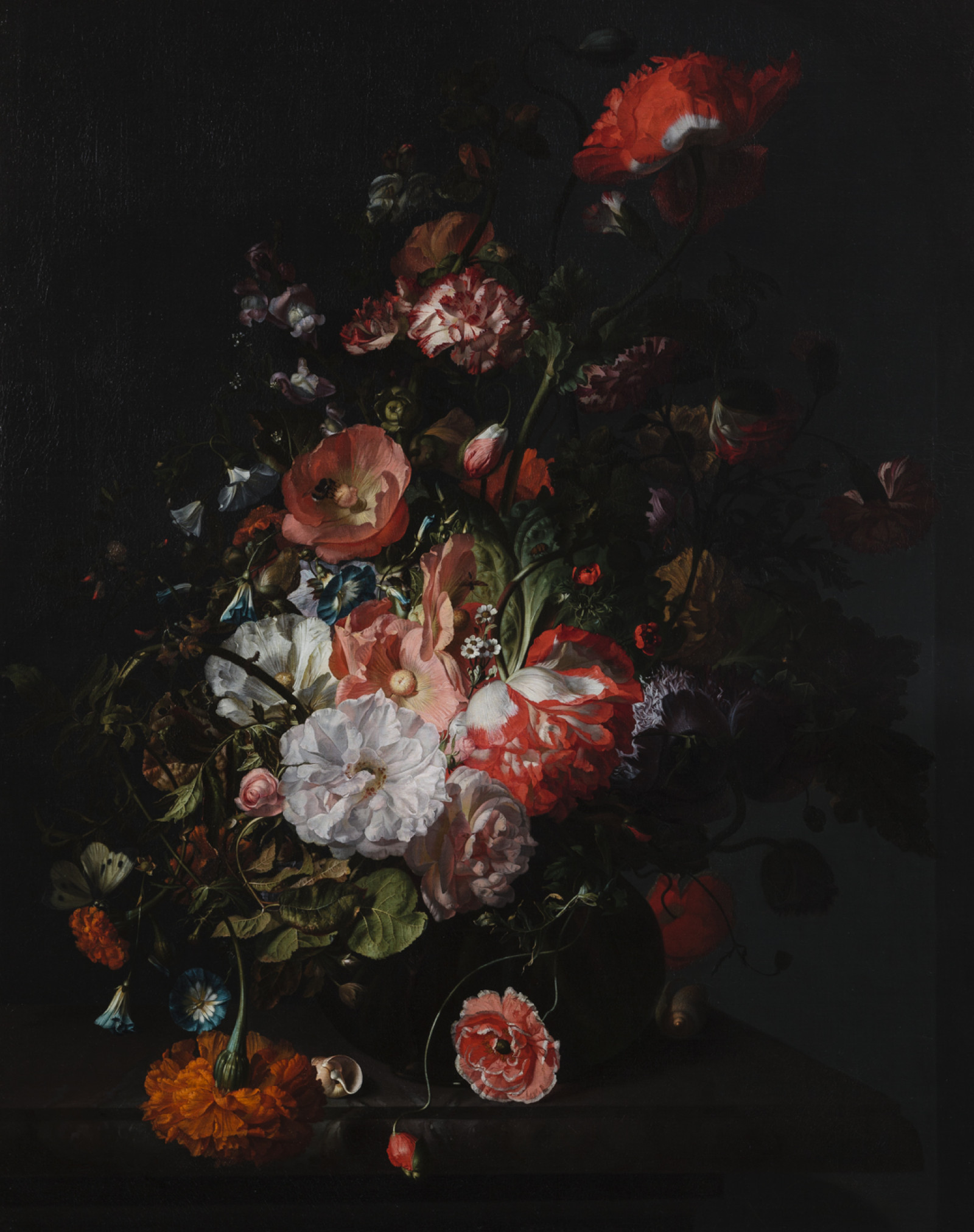 Toledo Museum Insider: Your Guide to Current & Upcoming Exhibits