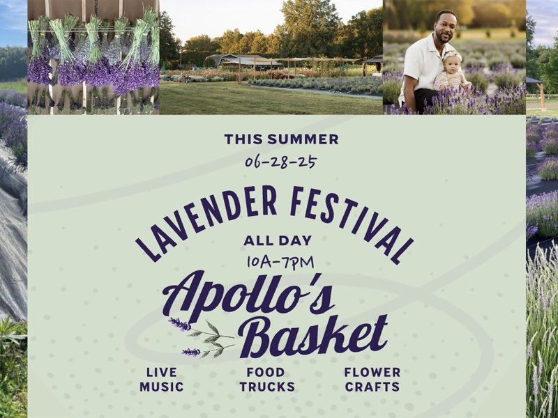 Lavender Fest at Apollo’s Basket