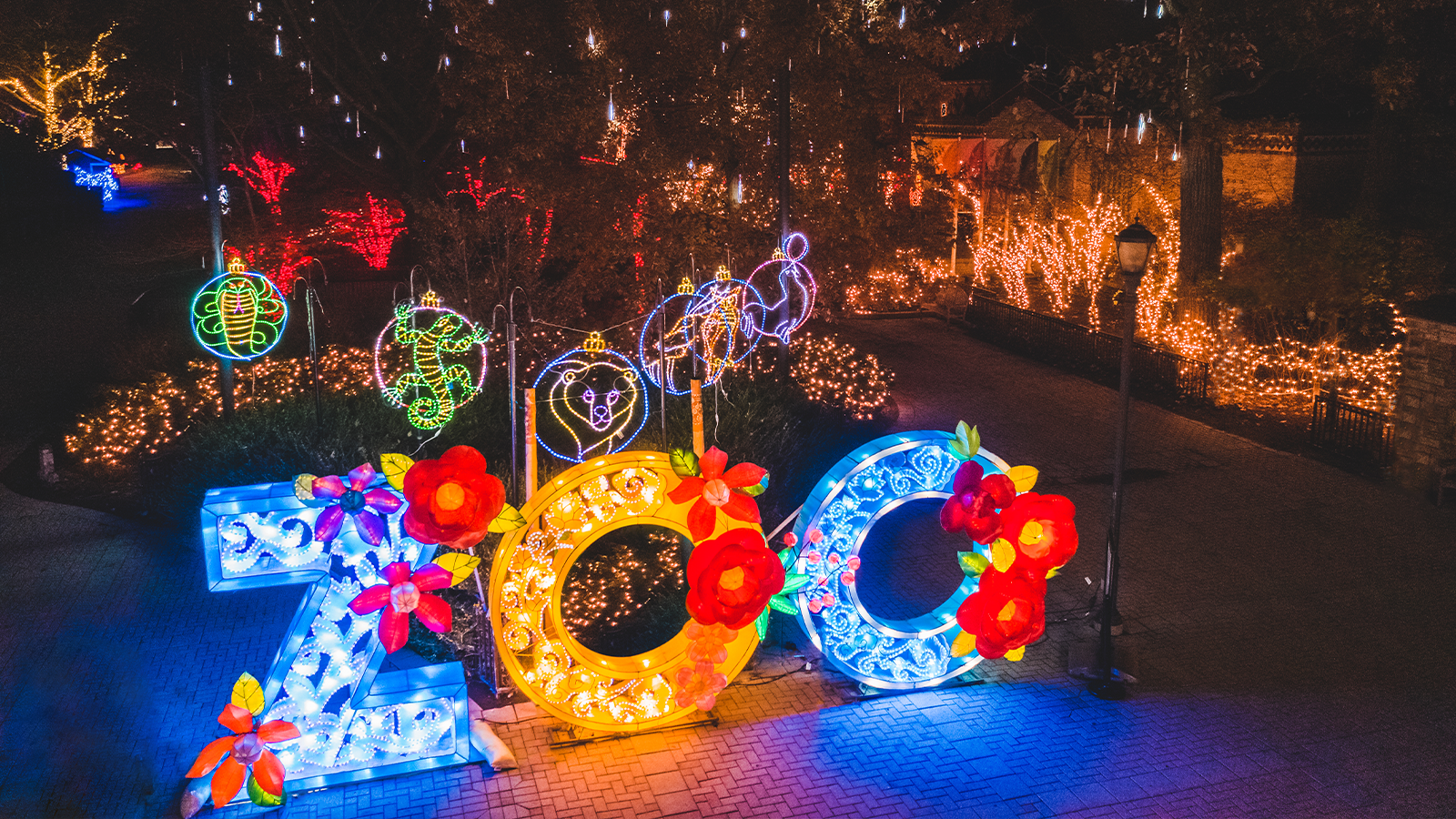 lights before christmas at the toledo zoo. The word "zoo" is lit up in lights and there are lights in the trees and along the pathway in the photo.
