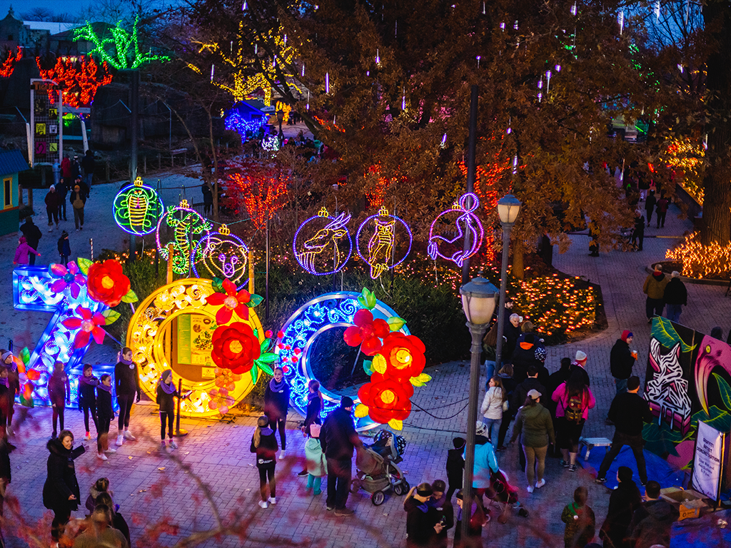 people walking around the Toledo Zoo for Lights at the Zoo