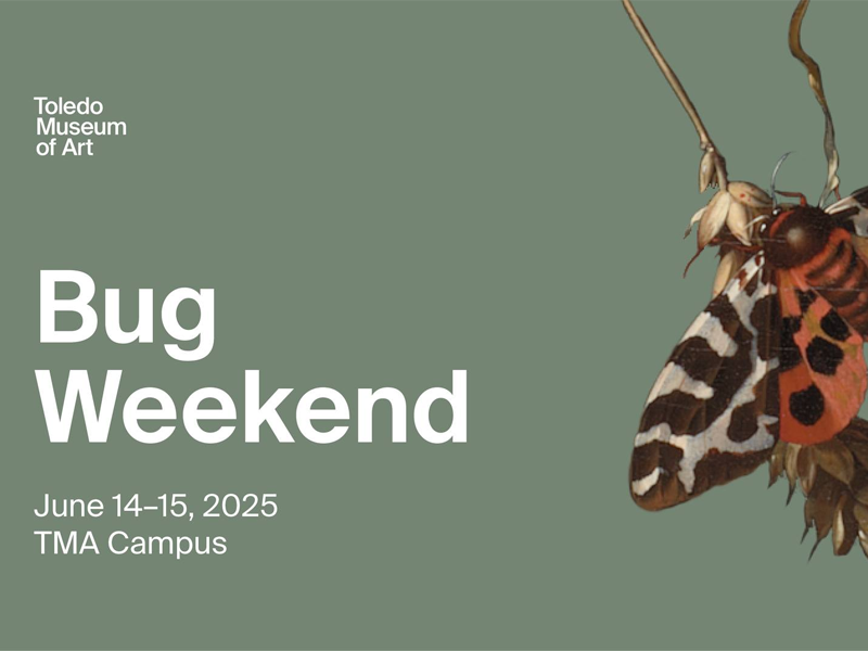bug weekend at TMA 2025 4×3 event image