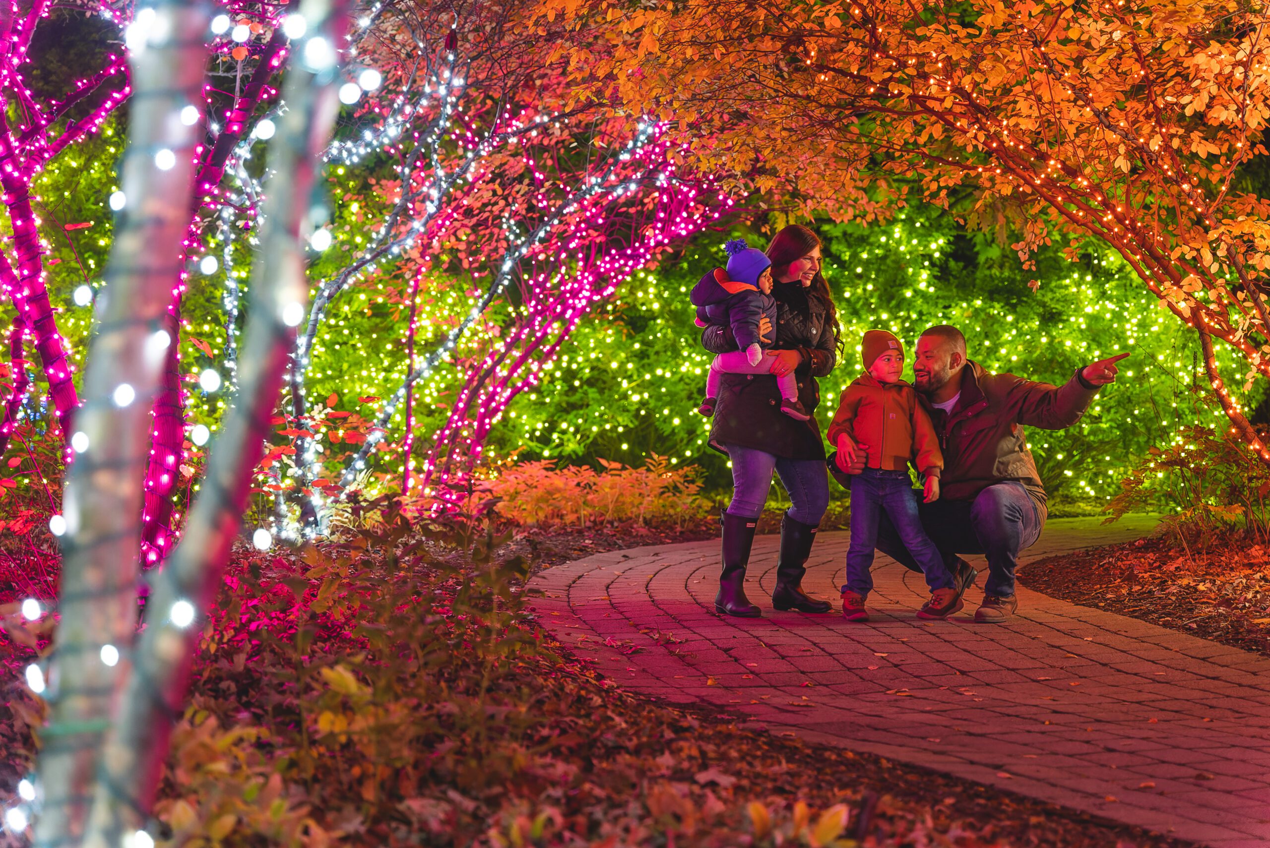 2025 Holiday Season Experiences in Toledo