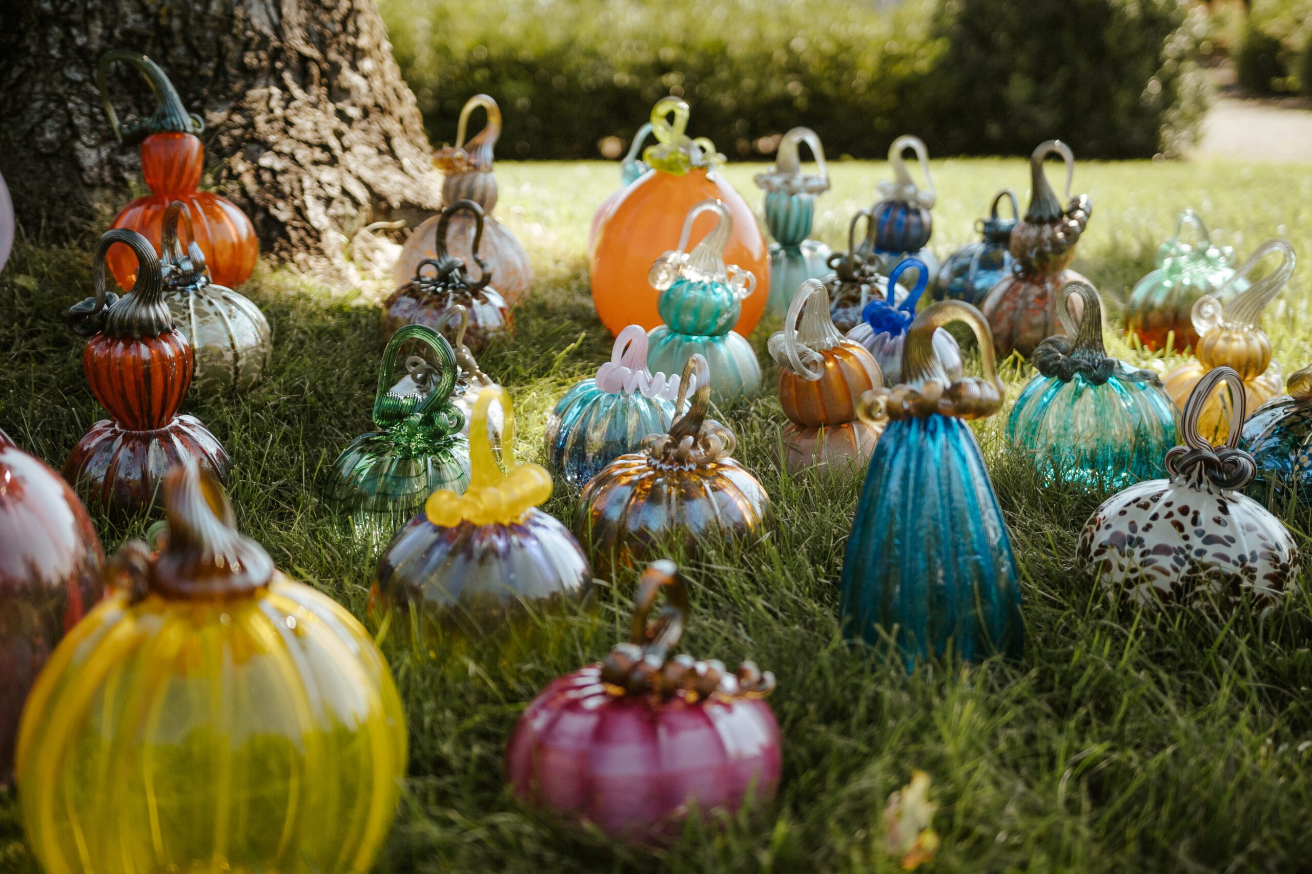 Fall in Love with Toledo: Your 2025 Autumn Events Guide